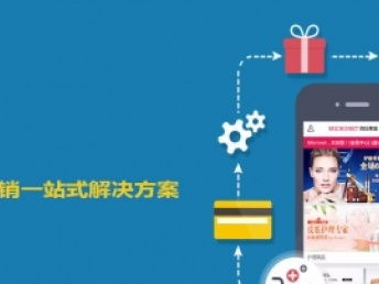 图 3000元定制开发商城包终身运维 成都网站建设推广