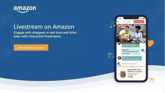 亚马逊产品的listing又添新功能 此后卖家应该如何优化listing